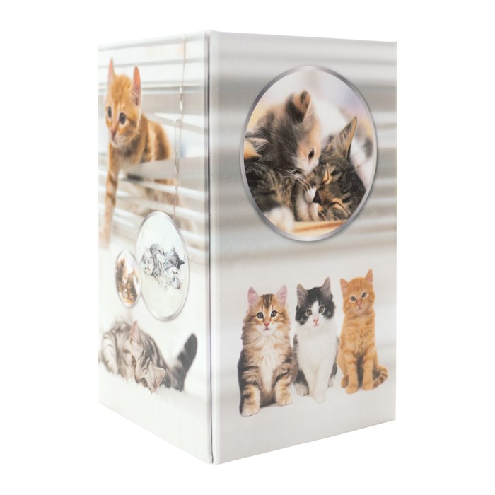 HERMA Stiftehalter Katzen Karton 8,0 x 8,0 x 13,5 cm