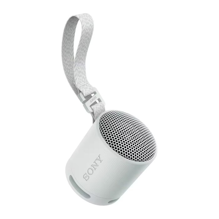 SONY SRS-XB100 Bluetooth-Lautsprecher grau