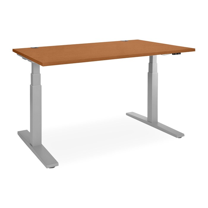 Elektrisch höhenverstellbarer Schreibtisch – Gestell Grau (1600 x 800 mm, Platte Buche)