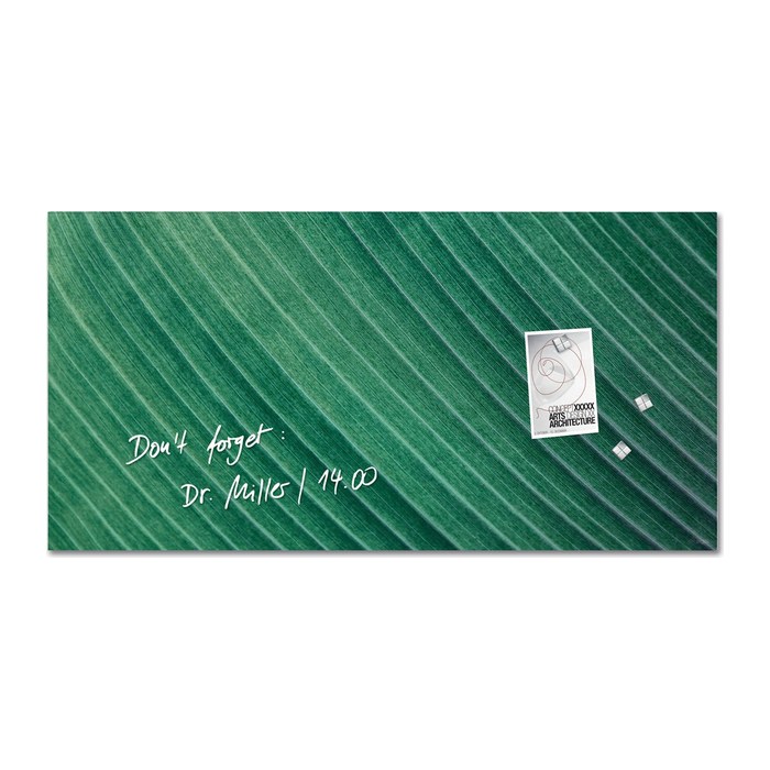 SIGEL Glas-Magnettafel artverum® 91,0 x 46,0 cm Design Palm Leaf matt