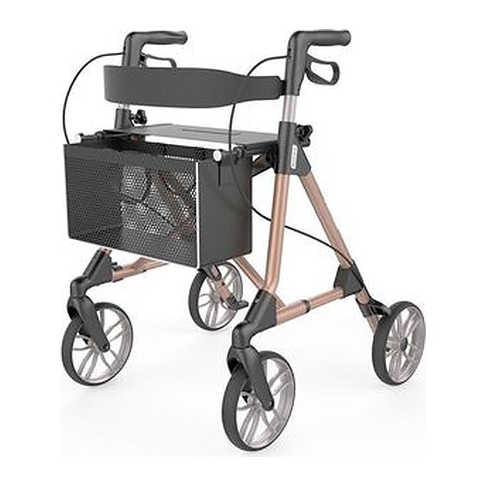 RUSSKA Rollator elan classic 11441000 champagner, 1 St.