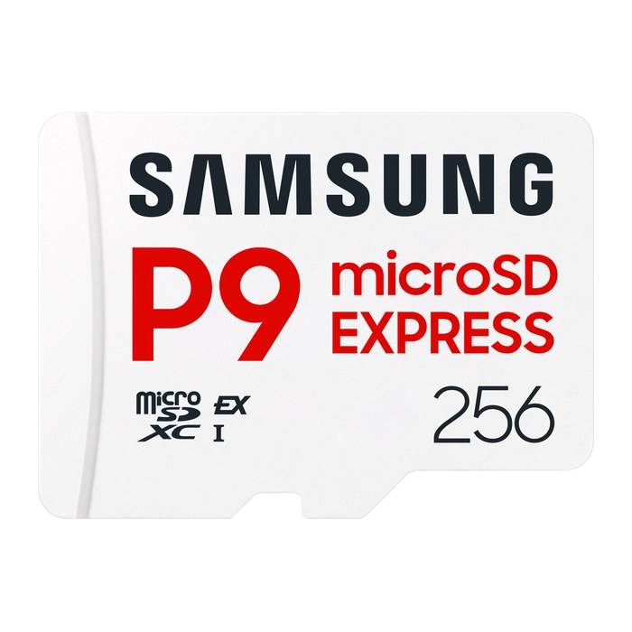 SD MicroSD Card 256GB Samsung SDXC P9 Express (Class10) retail