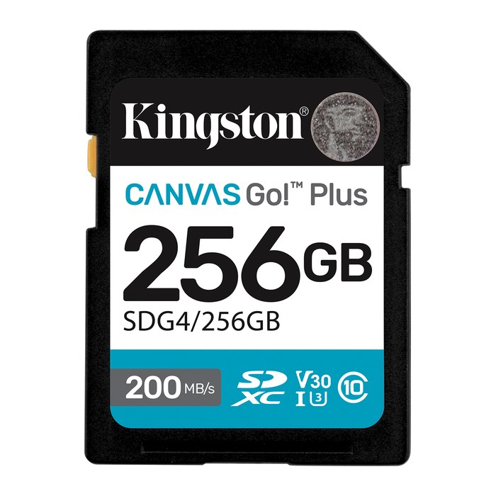 SD Card 256GB Kingston SDXC Canvas Go Plus C10 retail