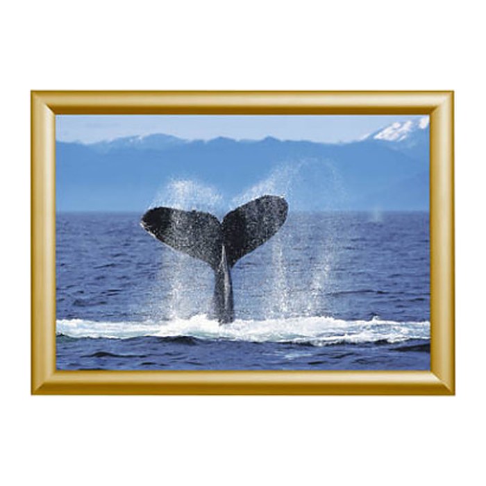 Showdown® Displays  Klapprahmen gold 62,5 x 87,2 cm, 1 St.