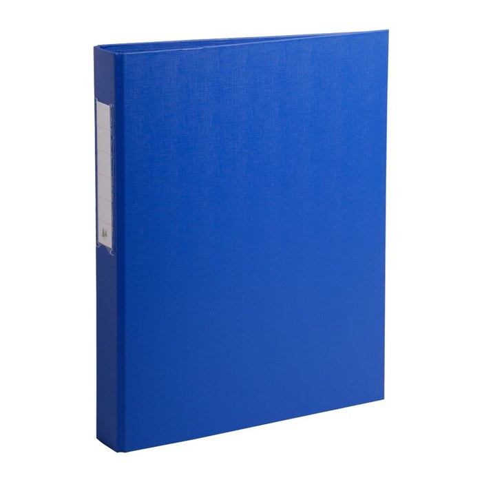 Exacompta Ringbuch 2-Ringe blau 4,0 cm DIN A4, 1 St.