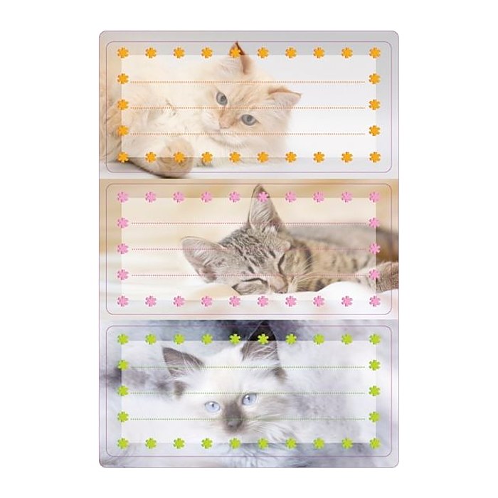 HERMA Schuletiketten Katzen, 6 Etiketten