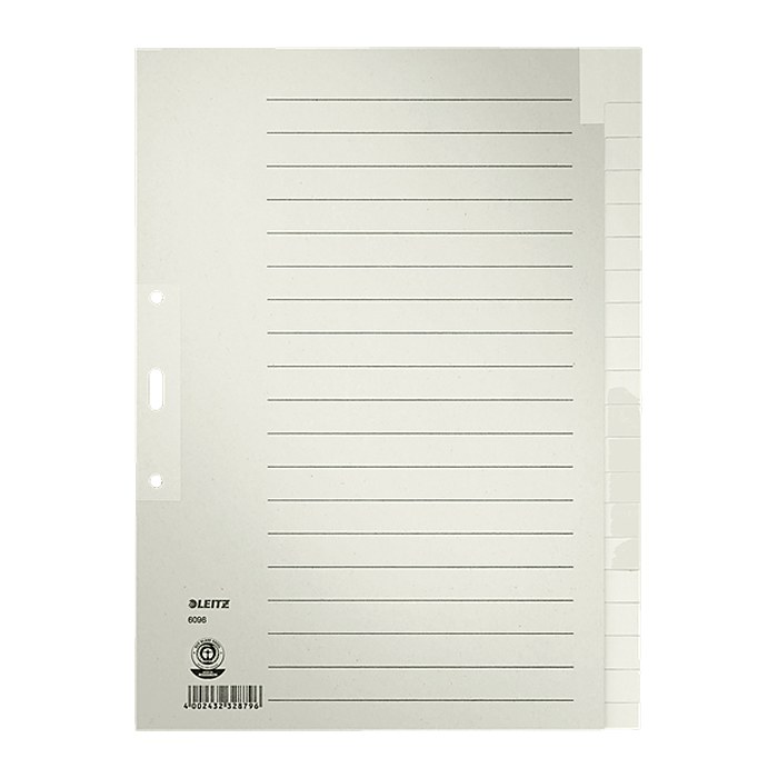 LEITZ Ordnerregister DIN A4 Vollformat blanko grau 20-teilig, 1 Satz