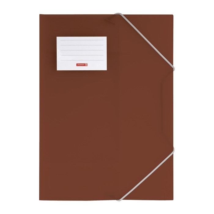 BRUNNEN Sammelmappe FACT!pp DIN A4 braun transparent, 1 St.
