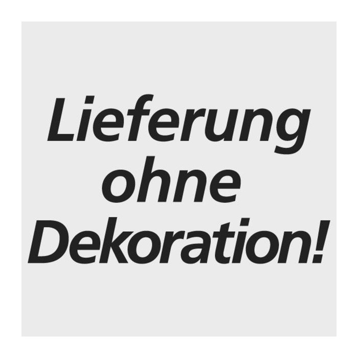 SCHULTE Kragarmregal K1000 14485 enzianblau 250,0 x 50,0 x 200,0 cm