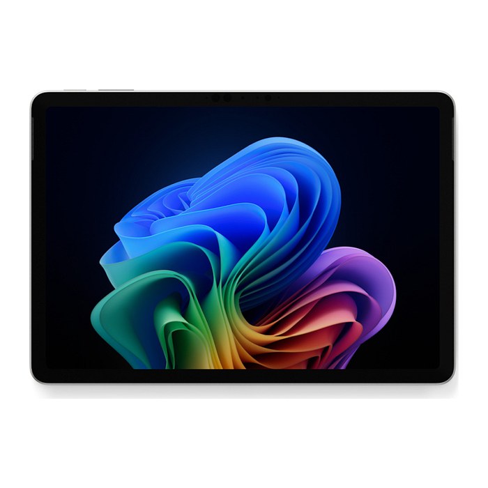 Microsoft Surface Pro CP+ 12" SD P/24GB/1TB Euro Platinum W11P