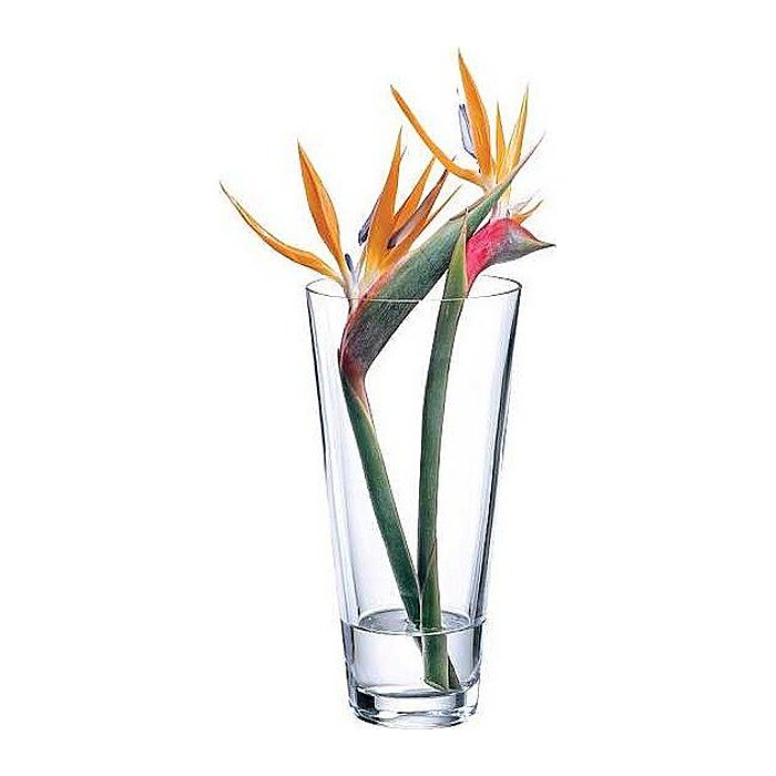 RONA Vase Ambiente transparent, 1 St.