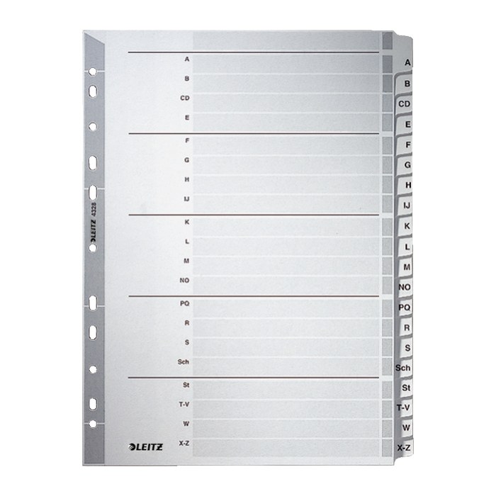 LEITZ Ordnerregister DIN A4 Vollformat A-Z grau 20-teilig, 1 Satz