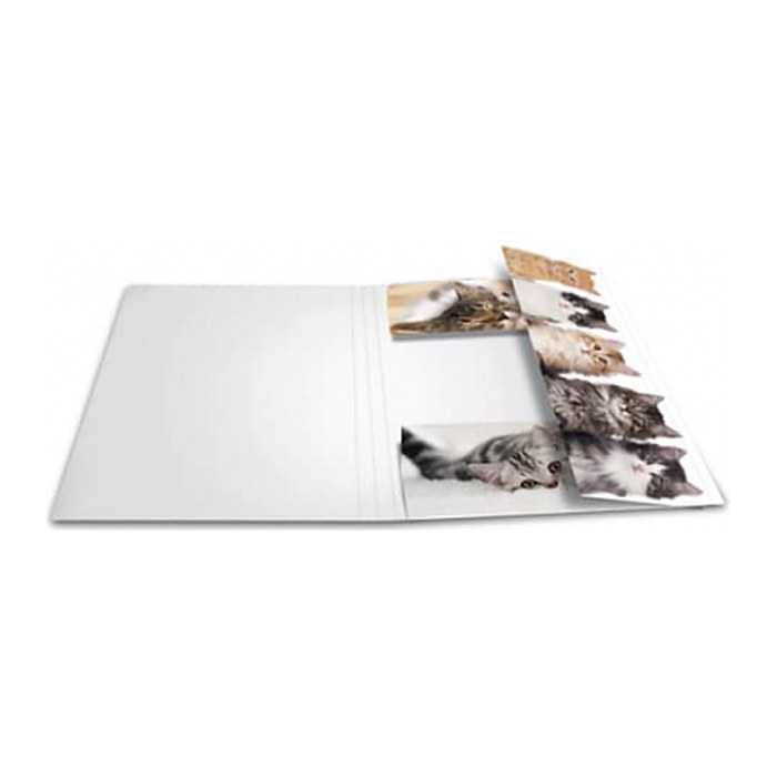 HERMA Sammelmappe A4 Katzen Pappe