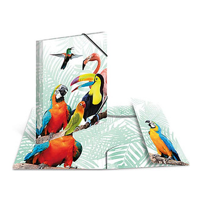 HERMA Sammelmappen DIN A4 Papageien, 3 St.