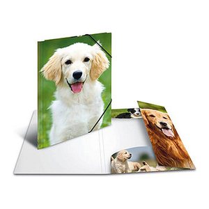 HERMA Sammelmappen DIN A4 Hunde, 3 St.