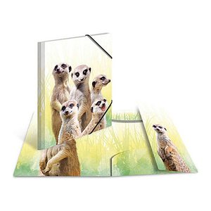 HERMA Sammelmappen DIN A4 Erdmännchen, 3 St.