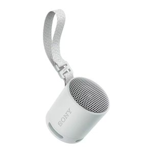 SONY SRS-XB100 Bluetooth-Lautsprecher grau