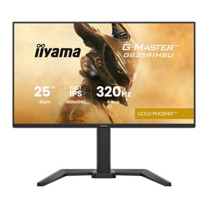 IIYAMA 62.0cm (24,5") GB2591HSU-B1 16:9 2xHDMI+DP+2xUSB-C