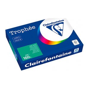 Clairefontaine Kopierpapier Trophée tannengrün DIN A4 160 g/qm 250 Blatt