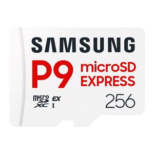 SD MicroSD Card 256GB Samsung SDXC P9 Express (Class10) retail