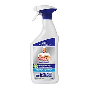 Mr. Proper Professional Allzweckreiniger 750 ml, 1 St.
