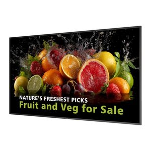 PHILIPS D-Line 65BDL5050D 165,1cm(65") 24/7/UHD/Android14 (Speditionsversand)