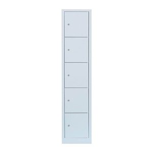 LÜLLMANN Schließfachschrank lichtgrau 523910, 5 Schließfächer 41,5 x 50,0 x 190,0 cm