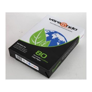 STEINBEIS Recyclingpapier No.3 DIN A4 80 g/qm 500 Blatt