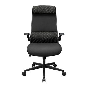 COUGAR Gaming/Office-Stuhl Stryder, Stoff, Schwarz