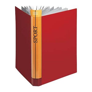 FolderSys FolderSys® Sichtbuch DIN A4, 30 Hüllen bordeaux, 1 St.