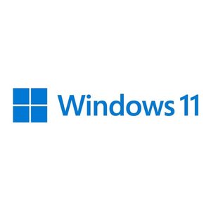 Windows Pro 11 64Bit FPP Deutsch USB