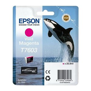 EPSON T7603 (Schwertwal) vivid magenta Druckerpatrone