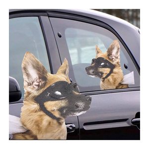 ThumbsUp! Fenstersticker "Hund"