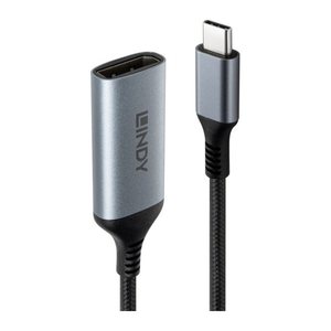 LINDY Konverter USB Typ C auf DisplayPort 8K60