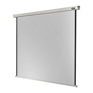 celexon elektrische Rolloleinwand Professional Motor 1:1, 180 x 180 cm Projektionsfläche
