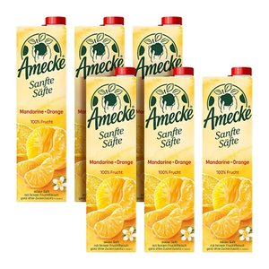 Amecke Sanfte Säfte Mandarine Orange Fruchtsaftkonzentrat 6x 1,0 l