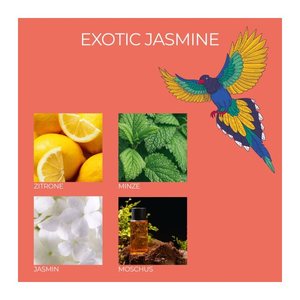 Frida Kahlo Duftkerze - La Belle vie, Exotic Jasmine 3er Set