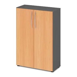 HAMMERBACHER Aktenschrank 4550, V4550/G/6/BM grafit, buche 2 Fachböden 80,0 x 34,6 x 114,4 cm