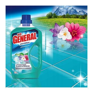 DER GENERAL UNIVERSAL Allzweckreiniger 750 ml, 1 St.