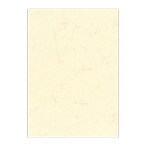 RNK-Verlag Motivpapier Elefantenhaut chamois DIN A3 190 g/qm 10 Blatt