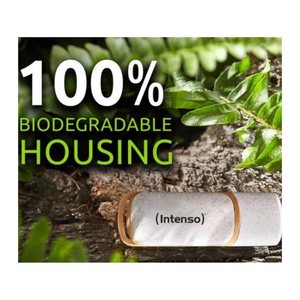Intenso USB-Stick Green Line beige 64 GB, 1 St.