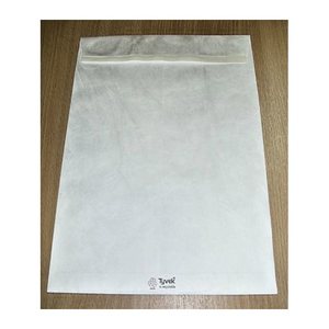 BONG Faltentaschen Tyvek® Expander DIN C4 ohne Fenster weiß mit 3,8 cm Falte, 100 St.