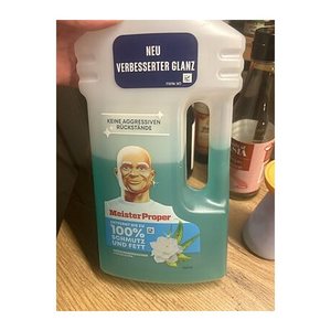 Meister Proper FRÜHLINGSERWACHEN Allzweckreiniger 1 l, 1 St.