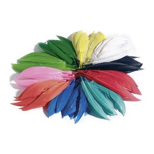 folia Federn mehrfarbig Indianerfedern bunt 10 g, 1 Pack
