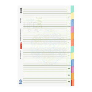 BRUNNEN Ordnerregister Recycling DIN A4 Vollformat blanko beige 12-teilig, 1 Satz