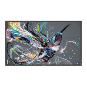 PHILIPS Q-Line 50BDL3511Q 127,0cm(50") 18/7/UHD (Speditionsversand)