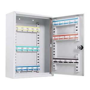 ISS Ulm Schlüsselkasten lichtgrau mit 30 Haken, Zylinderschloss, 23,0 x 8,0 x 30,5 cm, 1 St.