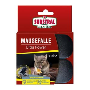 SUBSTRAL® Celaflor® Mausefallen Ultra Power schwarz, 2 St.
