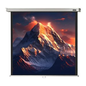 celexon Rolloleinwand Professional 1:1, 200 x 200 cm Projektionsfläche