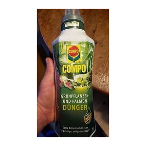 COMPO Grünpflanzendünger 1,0 l